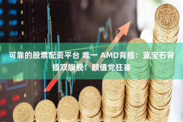 可靠的股票配资平台 唯一 AMD背插:蓝宝石背插双旗舰!颜值党狂喜